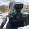 Nikon D500にドットサイト DF-M1を組み合わせて使ってみました
